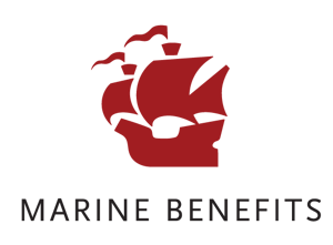 LOGOmainRGB - no background-01-1